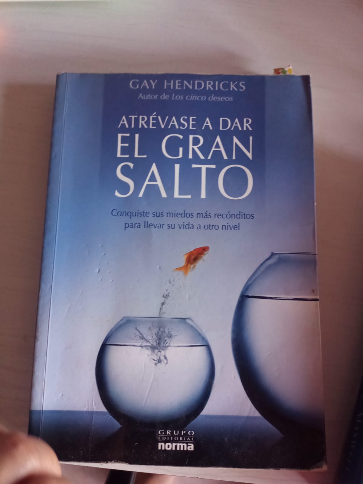 Lote de libros de desarrollo personal 