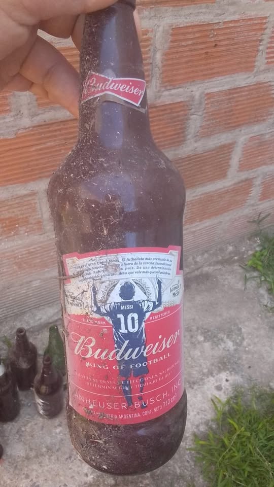 7 botellas + 6 chicas