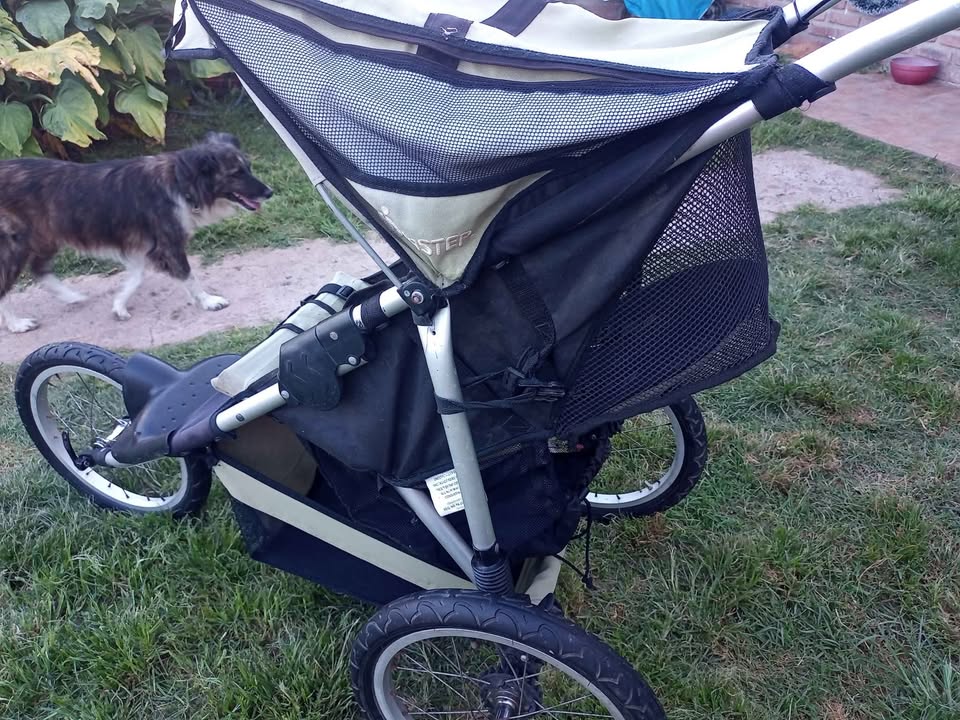 Coche triciclo para bebe 3 ruedas instep - LEO OFERTAS!!!